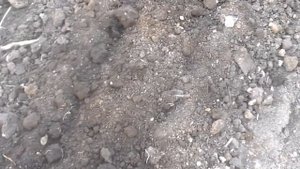 Сетчатая борона самодельная