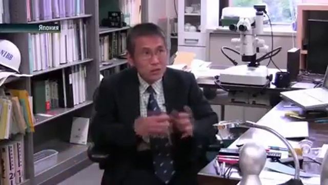 Китайцы молодцы. Бесплатное электричество.