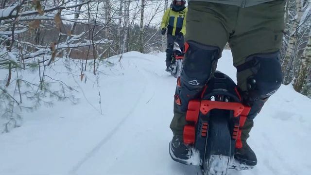 моноколеса и зимний лес смотреть онлайн