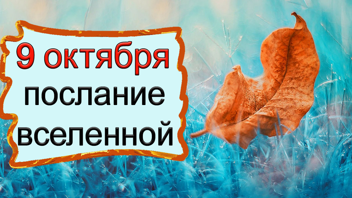 ПОСЛАНИЕ ВСЕЛЕННОЙ НА 9 октября.*Эзотерика Для Тебя*