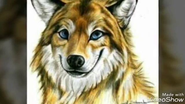 Арты волков смотреть онлайн