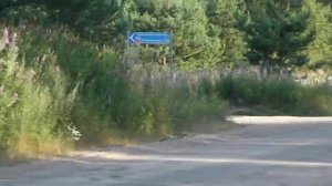 поездка на "Линию Маннергейма"