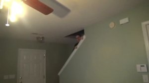 ЗЛОЙ ДЕД ИГРАЕТ В GTA 5