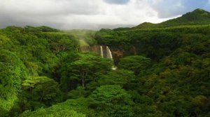 ВОДОПАТ. ЗВУК ВОДОПАДА И успокаивающая музыка.
