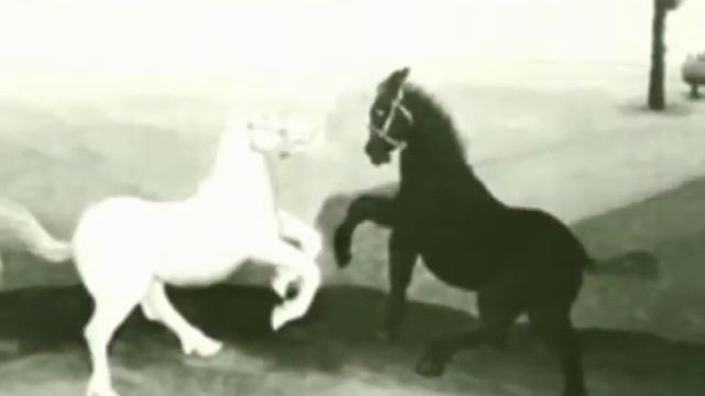 Старославянская сказка "День и ночь" смотреть онлайн