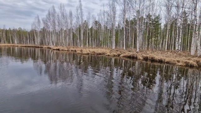 Шитовский исток. 30 апреля 2023 г.