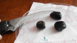 Посадка банана из семечки. Экзотические растения.