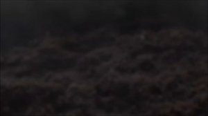 Грунт для рассады из Fix Price. Обзор земли из Фикс Прайс