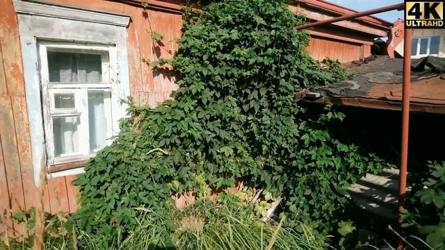 Лето | Родительский дом | Пересадка малины | Влог #купилдомвдеревне #родительскийдом