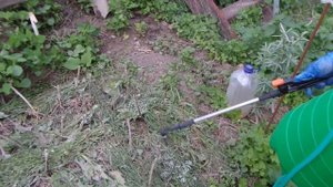 I Обработка чубуков черенков Винограда Фунгицидом от Мучнистой Росы и Грибковых заболеваний 2021060