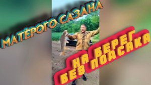 Рыбалка на Донце в г.Каменск-Шахтинский. Сазан