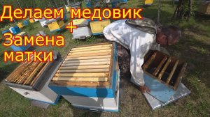 ДЕЛАЕМ МЕДОВИК + ЗАМЕНА МАТКИ на главном взятке