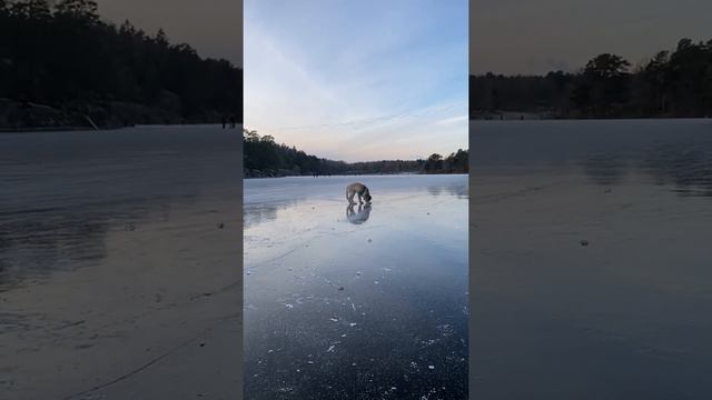 Sinks to  freezing point and Elias moving over a lake