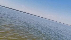 Ловля Окуня на Тейл Спинеры в Жару ? Рыбалка с лодки на водохранилище #рыбалка #Окунь #спиннинг