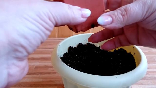 Огород ?на окне 2018 - "Химичу" в своё удовольствие смотреть онлайн