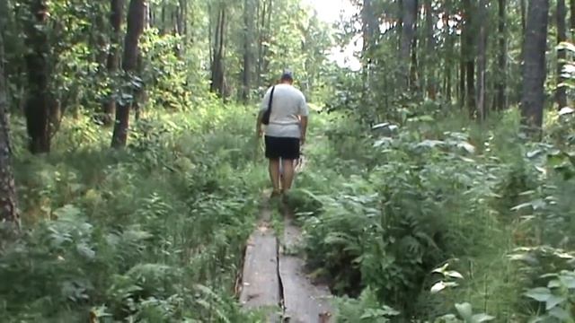 Идём по болоту смотреть онлайн