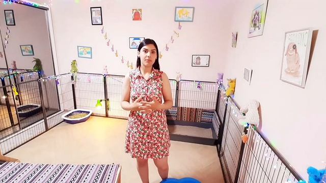Что нужно для содержания декоративного кролика?