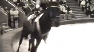 Символоков цирк