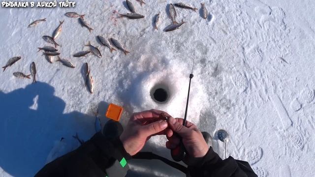 Большая рыбалка / Продолжение / Заезд на озеро / 4К смотреть онлайн