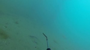 ПОДВОДНАЯ ОХОТА В МОРЕ !!! ВИТЯЗЕВО ЛОБАНЫ !!!