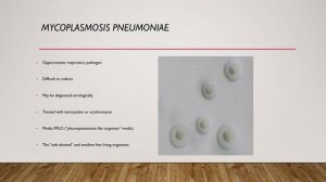 Unit 6 resp flora and pathogens