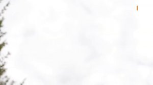 Актуальны ли шляпы-таблетки