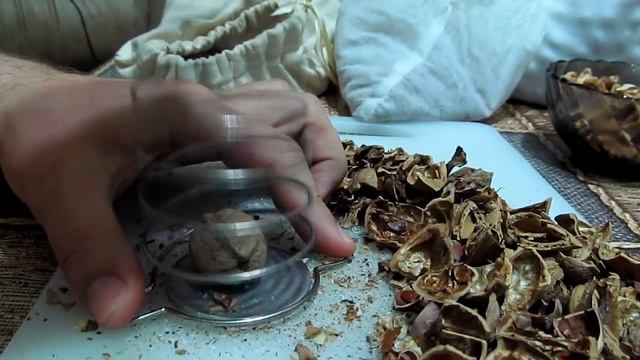 Пружинный орехокол | обзор | тестирование |