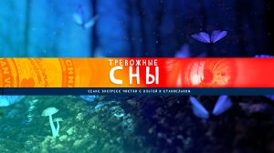 Тревожные сны | Экспресс чистка