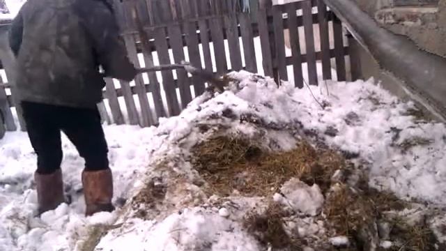 Жизнь в Сибири!Весна опаздывает!А мы готовим грядки теплые ! смотреть онлайн