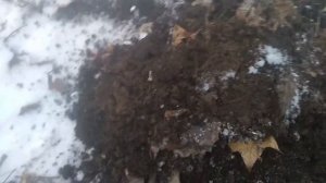 Рязанка с Евпатия Коловрата.  Закрытие сезона