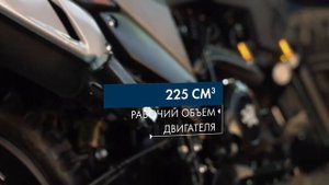 Новинка - Мотоцикл ZiD250 Лис