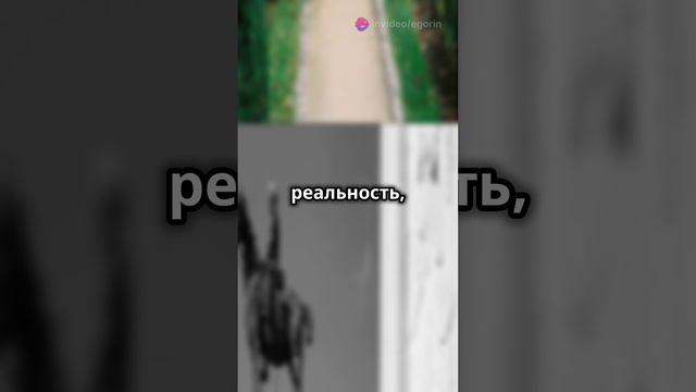 Как принять реальность и изменить свою жизнь