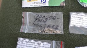 Сею помидоры на рассаду