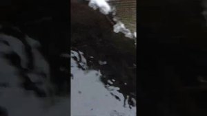 Выращивание рыбы в бассейне.