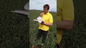 технология возделывания озимого рапса 1