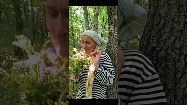 Барышня.mp4