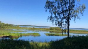 ДЕРЕВНЯ НИКУЛИНО В ИЮЛЕ (2021.07.11)