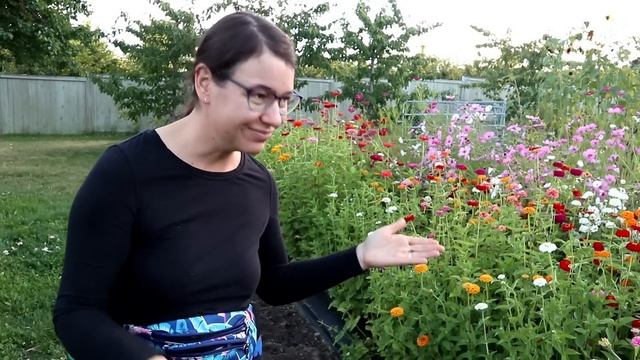 Cut Flower Garden for Beginners - From Seed to Bouquet смотреть онлайн