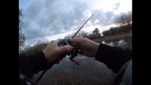 Rapala Ceratina BFS