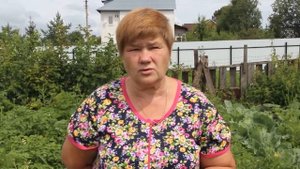 Помидоры в открытом грунте. Основные работы в июле.