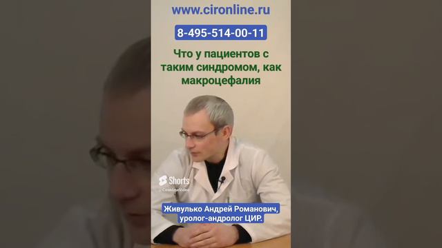 Макроцефалия сперматозоидов - что это такое и что делать? Живулько А.Р.