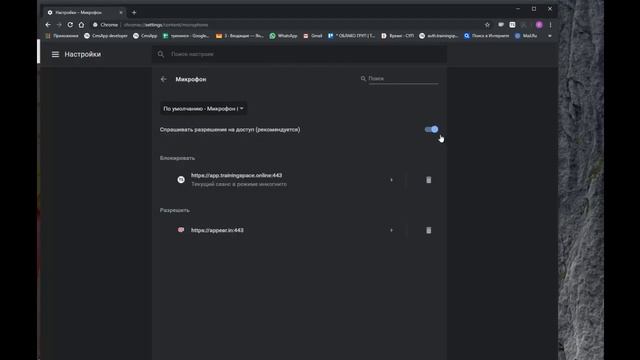 Урок 50. Как настроить Google Chrome для ТренингСпэйс