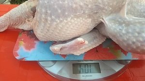 Вес индюшек Хайбрид Конвертер в 5 месяцев