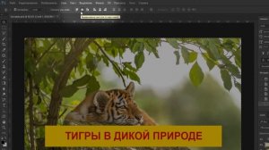 Как сделать надпись в фотошопе