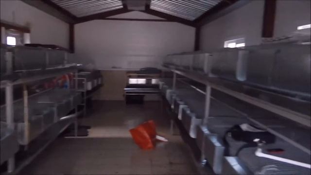 Полупромышленная кроликоферма (часть 1)