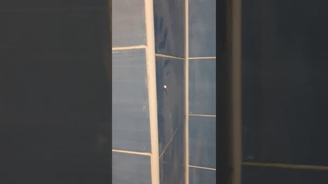 Императорские мытищи. ремонт от застройщика Гранель! смотреть онлайн