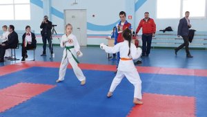 Турнир по каратэ шотокан.Сёбу-иппон кумитэ.Девочки 8-9лет.