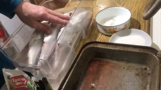 Сельдь, кальмар, мидии холодного копчения электростатическая коптильня