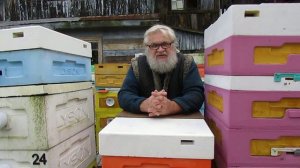 гибель и ослабление пчелиных семей в конце сезона - причины и ответы на вопросы