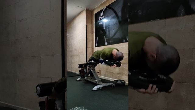 Эксперимент МЦ4 Д1 Гиперэкстензия с акцентом на заднее бедро смотреть онлайн